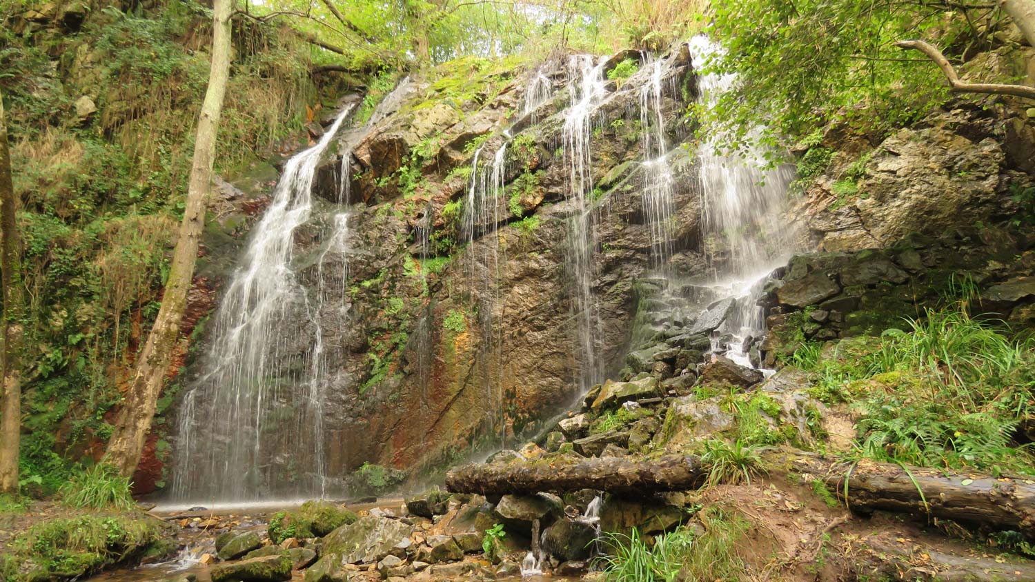 Fotografía de las Cascadas de Guanga con unos 8-10 metros de altura rodeadas de una frondosa vegetación.